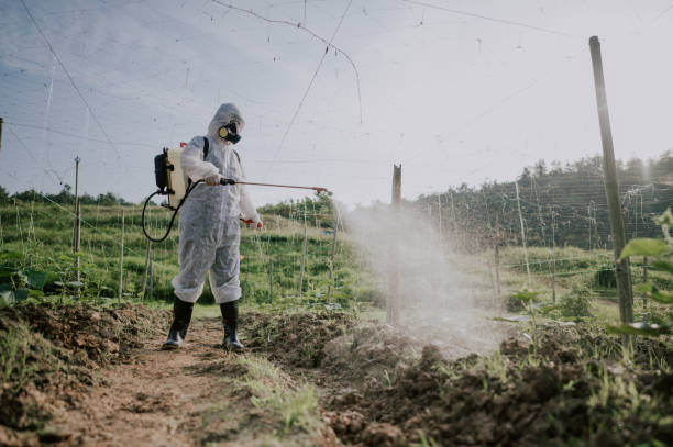 Best Local Pest Control Services  in Mercer, PA